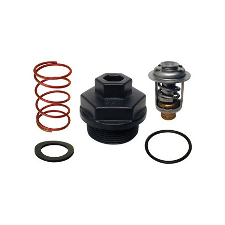 kit thermostat 40/250CV