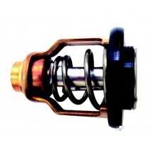 thermostat pour yamaha  F75 / F250