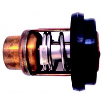 thermostat pour mercury mariner 8/9.9cv 4 temps